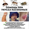 фотография Анна Левадная фотография Анна Левадная