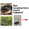лучшие фото Анна Левадная лучшие фото Анна Левадная