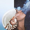 фотография Алена Гейзер фотография Алена Гейзер