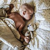 фотография svetachok фотография svetachok