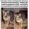 фотография Ульяна Петрухина фотография Ульяна Петрухина