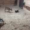 заказать рекламу у блогера Саша Твердохлебова заказать рекламу у блогера Саша Твердохлебова