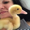 реклама у блогера Татьяна Резниченская реклама у блогера Татьяна Резниченская