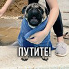 новое фото Глеб Корнилов новое фото Глеб Корнилов