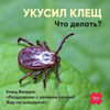 реклама у блоггера Филипп Кузьменко реклама у блоггера Филипп Кузьменко