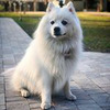 новое фото Людмила Астафьева новое фото Людмила Астафьева
