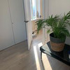 разместить рекламу в блоге Алина Флайклуд разместить рекламу в блоге Алина Флайклуд