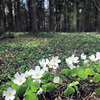 фотография Кацярына Казак фотография Кацярына Казак