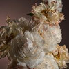 реклама у блоггера Анастасия mama_uragana реклама у блоггера Анастасия mama_uragana