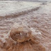 новое фото Лера Щёлокова новое фото Лера Щёлокова