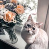 фото на странице milka_in_wonderland фото на странице milka_in_wonderland