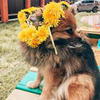 фотография Анастасия Mamika_dochki фотография Анастасия Mamika_dochki