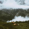 фото на странице София Светлая фото на странице София Светлая