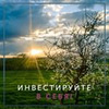 реклама в блоге Ирина Аргентова реклама в блоге Ирина Аргентова