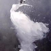 фотография sabri_bi_555 фотография sabri_bi_555
