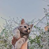 реклама у блоггера Юрий Мишиин реклама у блоггера Юрий Мишиин