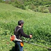 реклама на блоге dargidos_ реклама на блоге dargidos_