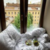 реклама у блогера amiravanilla реклама у блогера amiravanilla