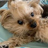 заказать рекламу у блоггера Мария Кит заказать рекламу у блоггера Мария Кит