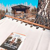 фотография Юли Гакс фотография Юли Гакс