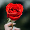новое фото Всеволод Цветов новое фото Всеволод Цветов