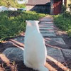 лучшие фото Марина Рубина лучшие фото Марина Рубина