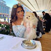 фотография likekate_ фотография likekate_