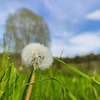 фотография Антон Константинов фотография Антон Константинов