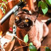 фотография Ирина Crazy.lira фотография Ирина Crazy.lira
