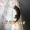 фото Екатерина Борисова фото Екатерина Борисова