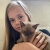 заказать рекламу у блоггера Екатерина Весна заказать рекламу у блоггера Екатерина Весна