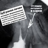 новое фото Лилия Кузьменкова новое фото Лилия Кузьменкова