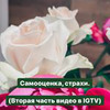 фото на странице fitnes_alisa фото на странице fitnes_alisa
