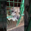 реклама у блогера shteps_s реклама у блогера shteps_s