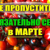 лучшие фото urozhainyi_ogorod лучшие фото urozhainyi_ogorod