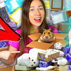 заказать рекламу у блогера ellidi_pets заказать рекламу у блогера ellidi_pets