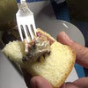 фотография Ольга и Сергей фотография Ольга и Сергей