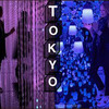 реклама в блоге blondinkaiztokyo реклама в блоге blondinkaiztokyo