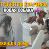 разместить рекламу в блоге Светлана Слыщенко разместить рекламу в блоге Светлана Слыщенко