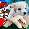 заказать рекламу у блогера egorkadexter заказать рекламу у блогера egorkadexter