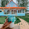 фото на странице spottykit фото на странице spottykit