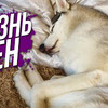 фотография Виталий Пиганов фотография Виталий Пиганов