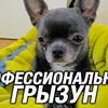 реклама в блоге Виталий Пиганов реклама в блоге Виталий Пиганов