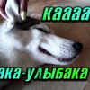 реклама у блогера Виталий Пиганов реклама у блогера Виталий Пиганов