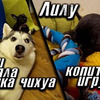реклама на блоге Виталий Пиганов реклама на блоге Виталий Пиганов