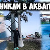 разместить рекламу в блоге Андрей AX разместить рекламу в блоге Андрей AX