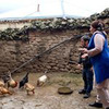 реклама у блоггера dargidos_ реклама у блоггера dargidos_