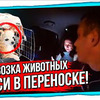 реклама на блоге Рафис Камалетдинов реклама на блоге Рафис Камалетдинов
