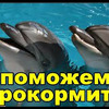 новое фото Лилия Корнилич новое фото Лилия Корнилич
