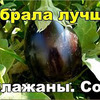реклама у блогера Лилия Корнилич реклама у блогера Лилия Корнилич